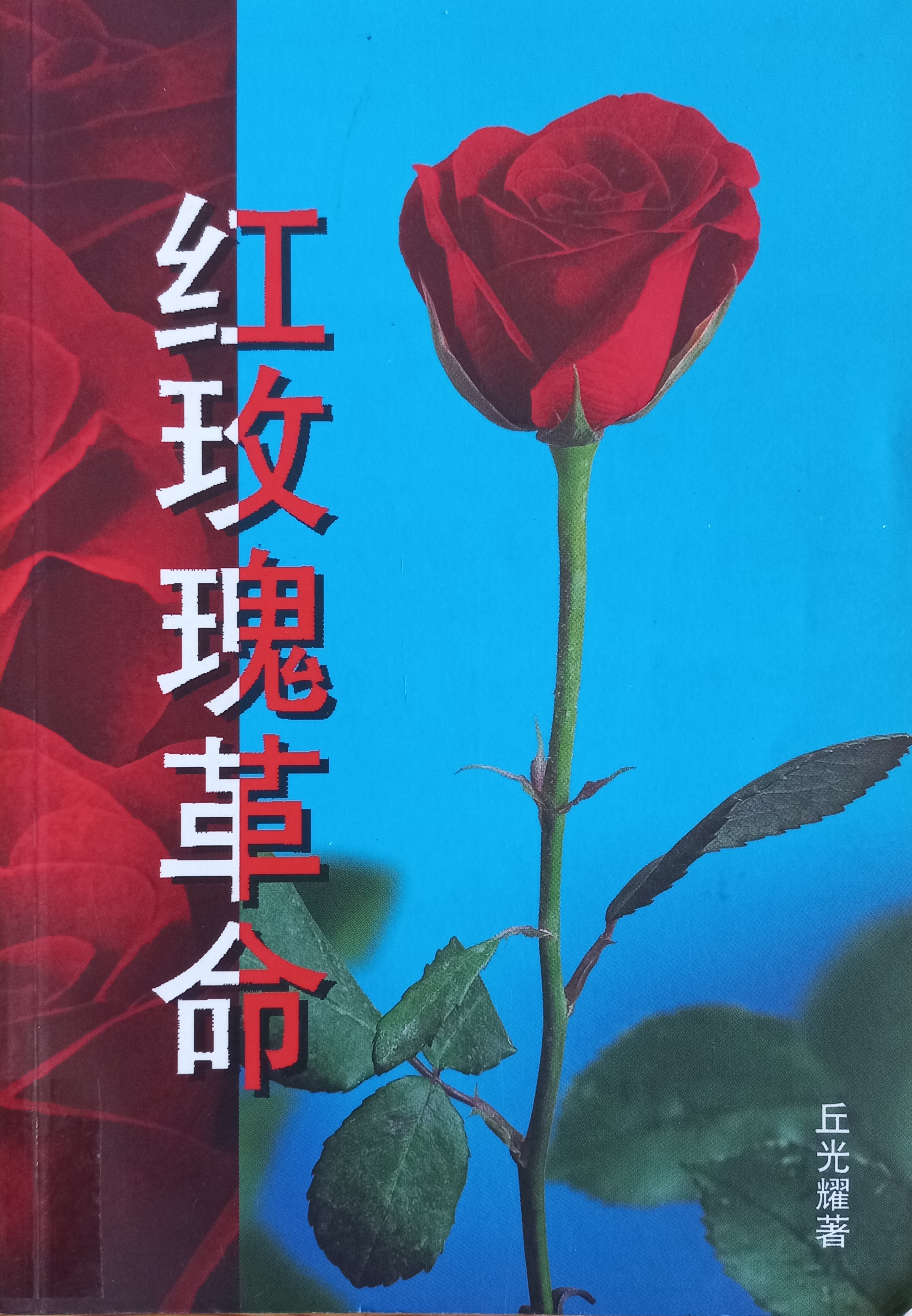 红玫瑰革命