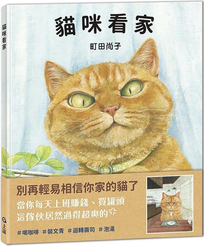 猫咪看家