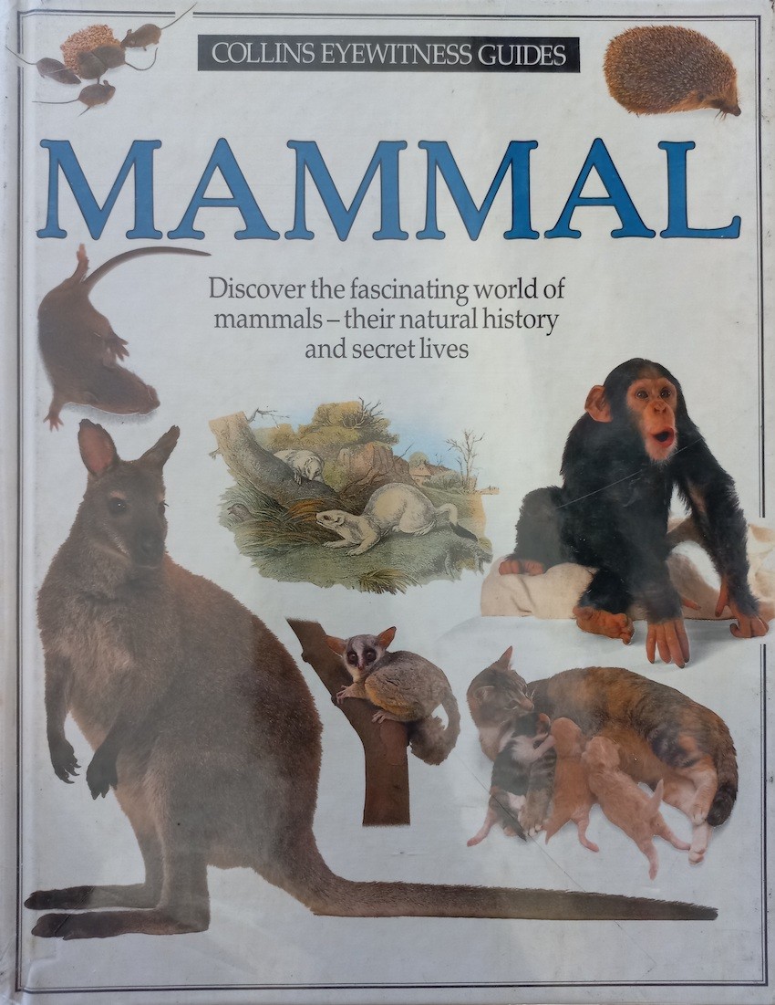 Collins Eyewitness guides: Mammal