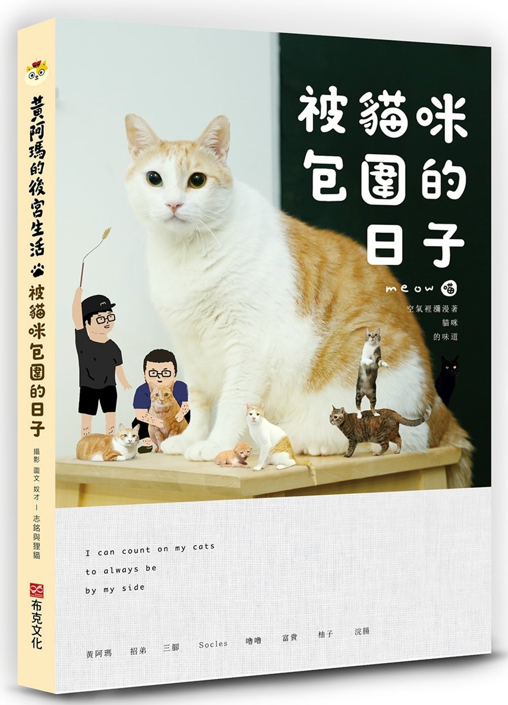 黄阿玛的后宫生活：被猫咪包围的日子